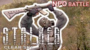 S.T.A.L.K.E.R. Clear Sky Mercenaries